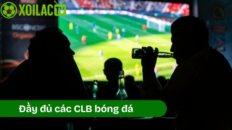 Những dữ liệu hữu ích khi cập nhật bảng xếp hạng Xoilac TV
