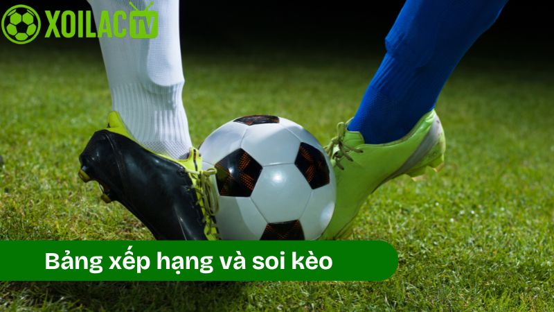 Các bước tra cứu và đọc dữ liệu bảng xếp hạng đúng cách