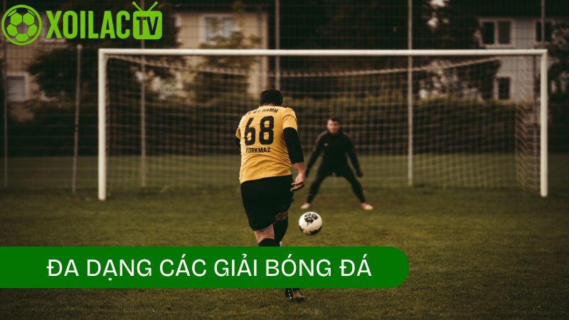 Những thông tin người dùng thu thập được thông qua lịch thi đấu