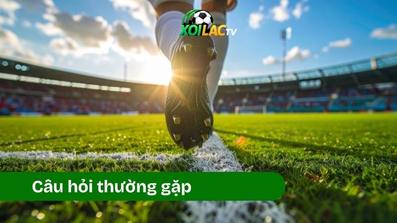 Câu hỏi thường gặp