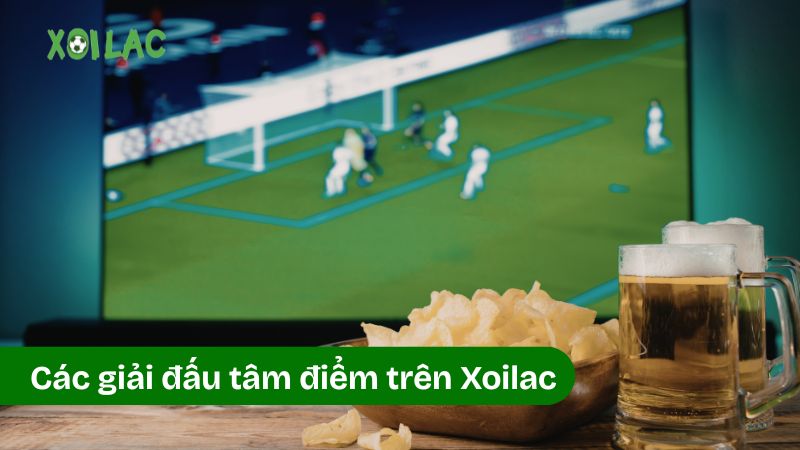 Tiêu chí hoạt động bền vững của Xoilac 